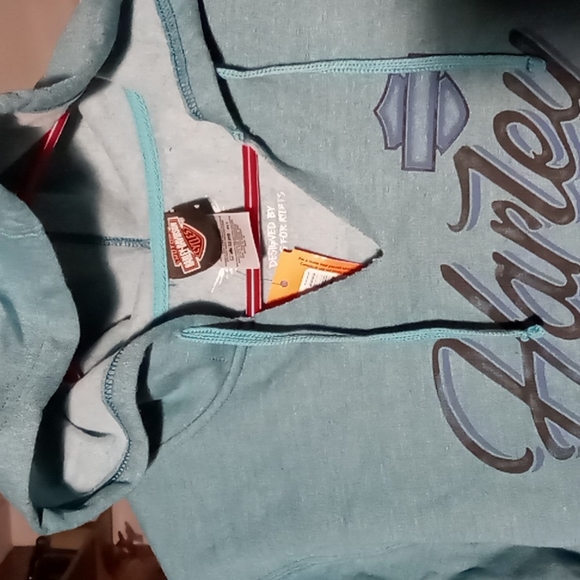 Harley-Davidson Hoodie - Picture 3 of 8